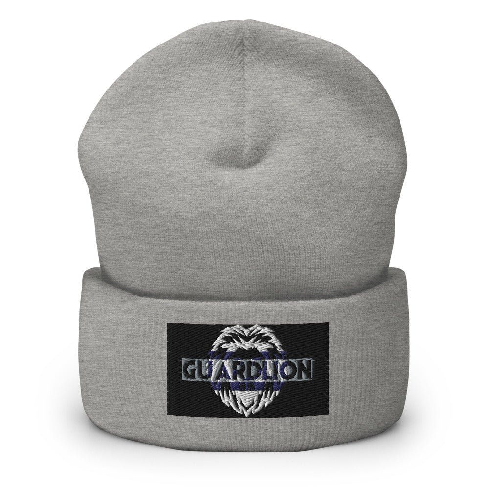 Cuffed Beanie | Yupoong 1501KC embroidered black2 insignia