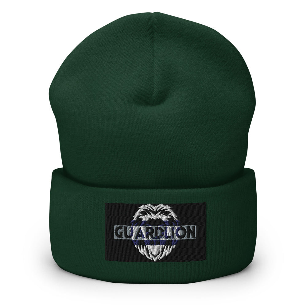 Cuffed Beanie | Yupoong 1501KC embroidered black2 insignia