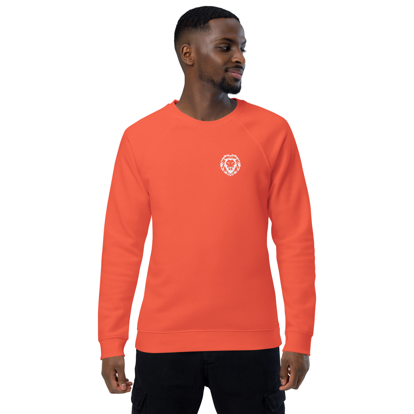 Unisex Organic Raglan Sweatshirt multicolor
